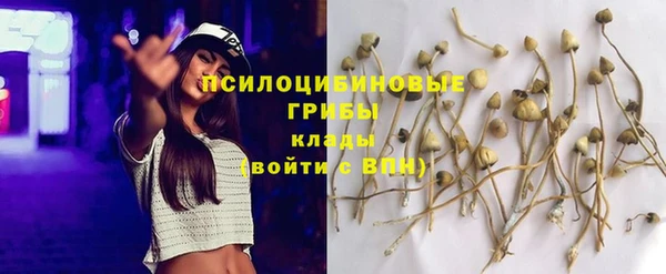 PSILOCYBIN Абаза