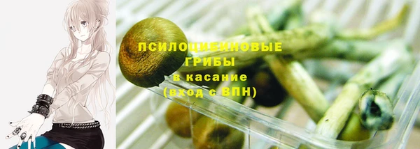 PSILOCYBIN Абаза